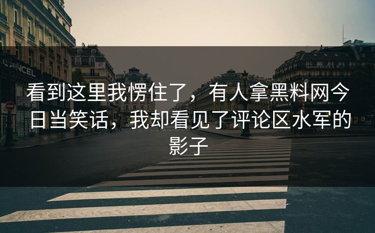 看到这里我愣住了，有人拿黑料网今日当笑话，我却看见了评论区水军的影子