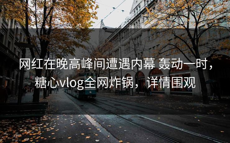 网红在晚高峰间遭遇内幕 轰动一时,糖心vlog全网炸锅,详情围观 网红在晚高峰间遭遇内幕 轰动一时,糖心vlog全网炸锅,详情围观