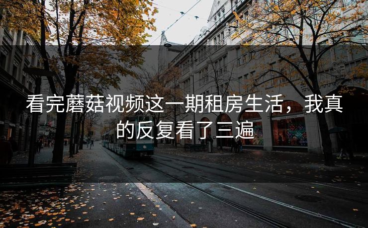 看完蘑菇视频这一期租房生活,我真的反复看了三遍 看完蘑菇视频这一期租房生活,我真的反复看了三遍